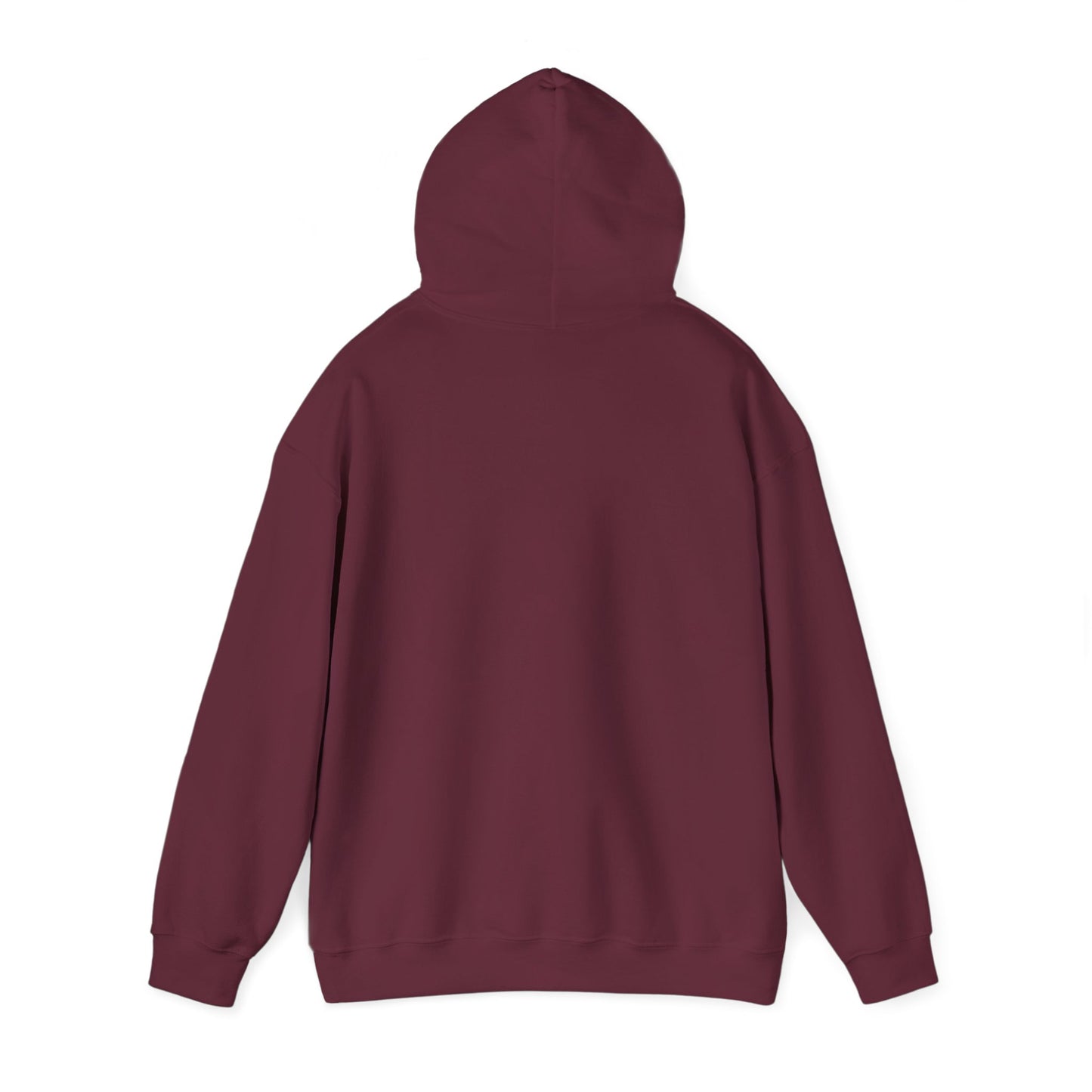 LiveLeak Hoodie